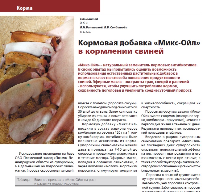 Кормовая добавка «Микс-Ойл» в кормлении свиней